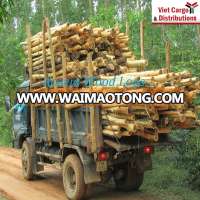 Acacia wood logs