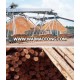 EUCALYPTUS GRANDIS WOOD CHIPS