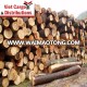 Acacia wood logs